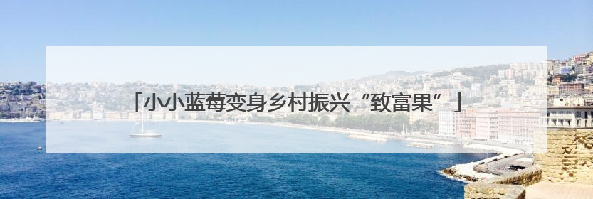 小小蓝莓变身乡村振兴“致富果”