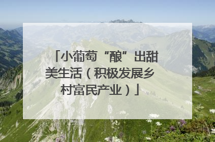 小葡萄“酿”出甜美生活（积极发展乡村富民产业）