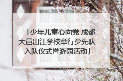 少年儿童心向党 成都大邑出江学校举行少先队入队仪式暨游园活动
