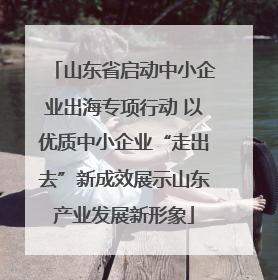 山东省启动中小企业出海专项行动 以优质中小企业“走出去”新成效展示山东产业发展新形象