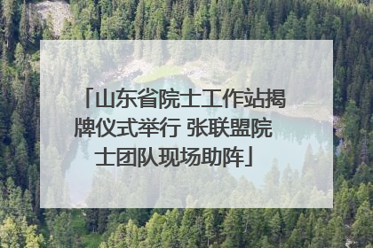 山东省院士工作站揭牌仪式举行 张联盟院士团队现场助阵