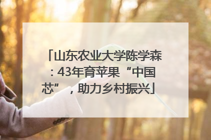 山东农业大学陈学森：43年育苹果“中国芯”，助力乡村振兴