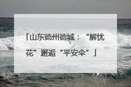 山东德州德城：“解忧花”邂逅“平安伞”