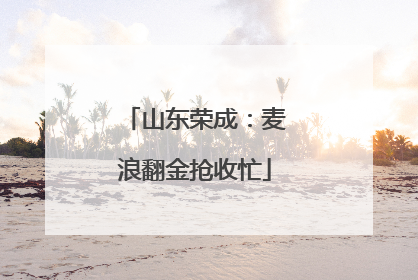 山东荣成：麦浪翻金抢收忙