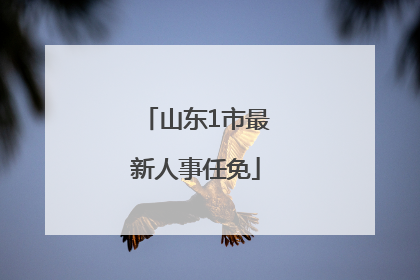 山东1市最新人事任免