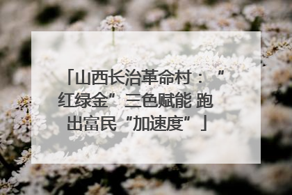 山西长治革命村：“红绿金”三色赋能 跑出富民“加速度”