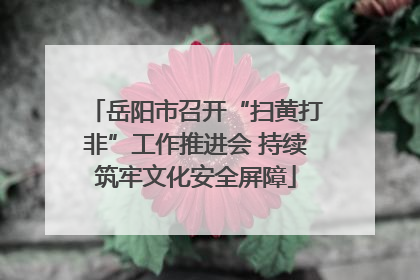 岳阳市召开“扫黄打非”工作推进会 持续筑牢文化安全屏障