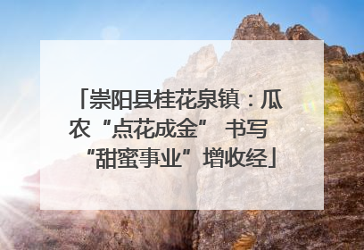 崇阳县桂花泉镇：瓜农“点花成金” 书写“甜蜜事业”增收经