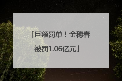 巨额罚单！金穗春被罚1.06亿元