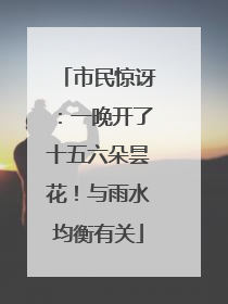 市民惊讶：一晚开了十五六朵昙花！与雨水均衡有关