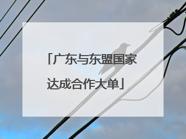 广东与东盟国家达成合作大单