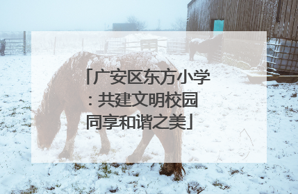 广安区东方小学：共建文明校园 同享和谐之美
