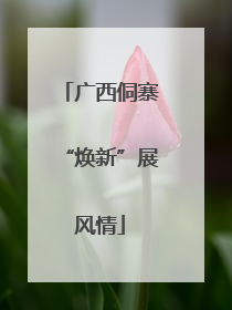 广西侗寨“焕新”展风情