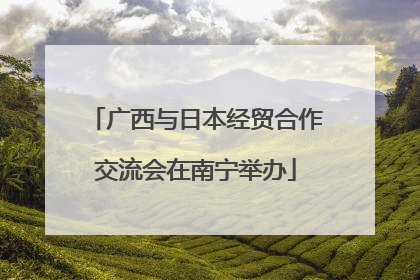 广西与日本经贸合作交流会在南宁举办