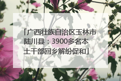 广西壮族自治区玉林市陆川县：3900多名本土干部回乡解纷促和