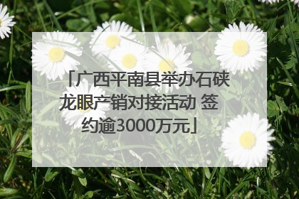 广西平南县举办石硖龙眼产销对接活动 签约逾3000万元