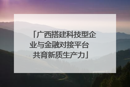 广西搭建科技型企业与金融对接平台 共育新质生产力