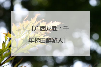 广西龙胜：千年梯田醉游人