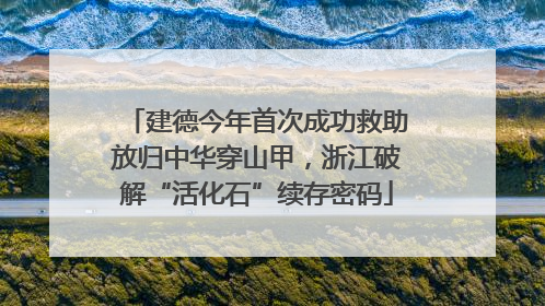 建德今年首次成功救助放归中华穿山甲，浙江破解“活化石”续存密码