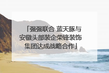 强强联合 蓝天豚与安徽头部装企荣锋装饰集团达成战略合作