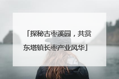 探秘古枣溪园，共赏东塔镇长枣产业风华