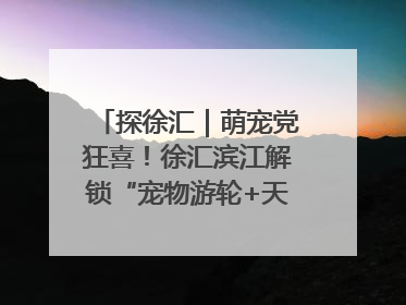 探徐汇｜萌宠党狂喜！徐汇滨江解锁“宠物游轮+天台乐园”双玩法