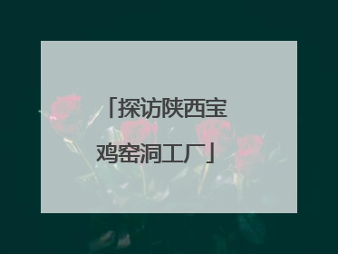 探访陕西宝鸡窑洞工厂