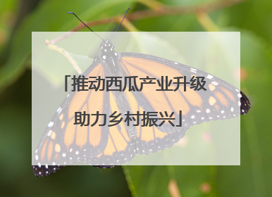 推动西瓜产业升级 助力乡村振兴