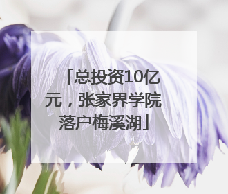 总投资10亿元，张家界学院落户梅溪湖