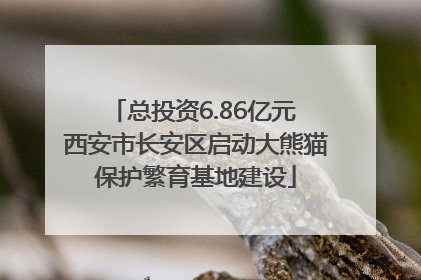 总投资6.86亿元 西安市长安区启动大熊猫保护繁育基地建设