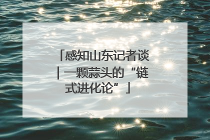 感知山东记者谈｜一颗蒜头的“链式进化论”