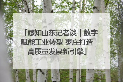 感知山东记者谈｜数字赋能工业转型 枣庄打造高质量发展新引擎