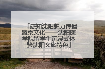 感知沈阳魅力传播盛京文化——沈阳医学院留学生沉浸式体验沈阳文旅特色