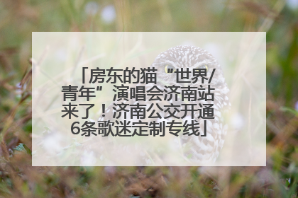 房东的猫“世界/青年”演唱会济南站来了！济南公交开通6条歌迷定制专线