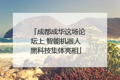 成都成华这场论坛上 智能机器人黑科技集体亮相