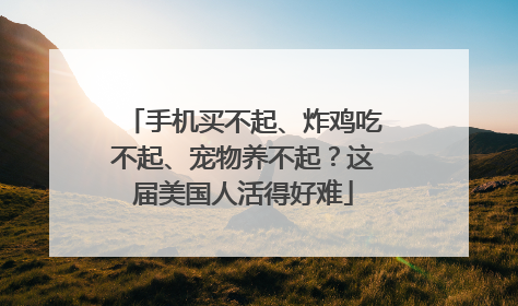 手机买不起、炸鸡吃不起、宠物养不起？这届美国人活得好难