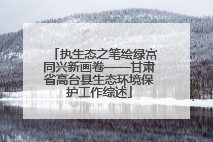 执生态之笔绘绿富同兴新画卷——甘肃省高台县生态环境保护工作综述