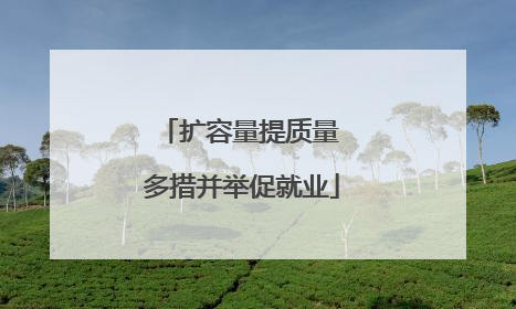 扩容量提质量 多措并举促就业