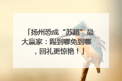 扬州恐成“苏超”最大赢家：踢到哪免到哪，回礼更惊艳！