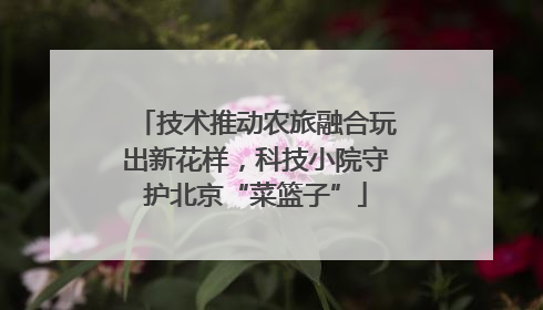 技术推动农旅融合玩出新花样，科技小院守护北京“菜篮子”
