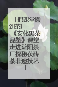 把课堂搬到茶厂——《安化黑茶品鉴》课堂走进益阳茶厂探秘茯砖茶非遗技艺