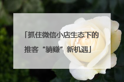 抓住微信小店生态下的推客“躺赚”新机遇