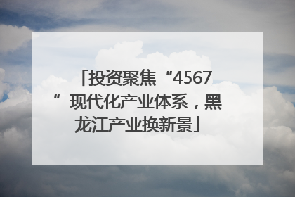 投资聚焦“4567”现代化产业体系，黑龙江产业换新景