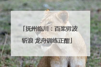 抚州临川：百桨劈波斩浪 龙舟训练正酣