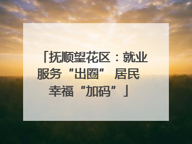 抚顺望花区：就业服务“出圈” 居民幸福“加码”