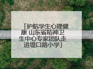 护航学生心理健康 山东省精神卫生中心专家团队走进堤口路小学