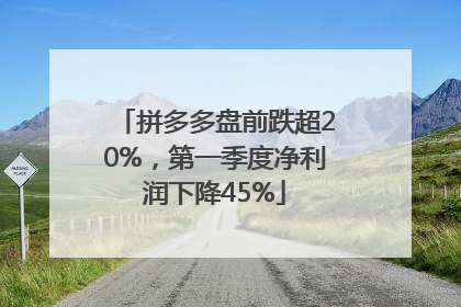 拼多多盘前跌超20%，第一季度净利润下降45%