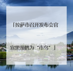 拉萨市召开发布会官宣黑颈鹤为“市鸟”
