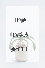 拉萨：山沟欢腾赛牦牛