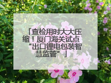 查检用时大大压缩！厦门海关试点“出口锂电包装智慧监管”